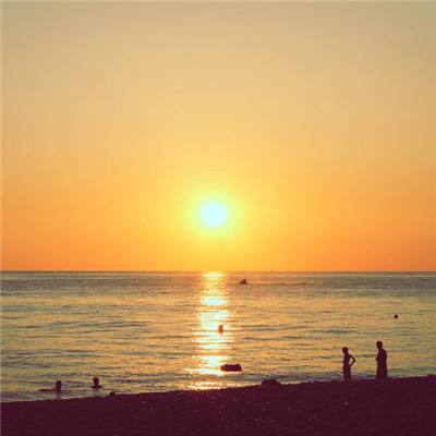 半导体育APP截图