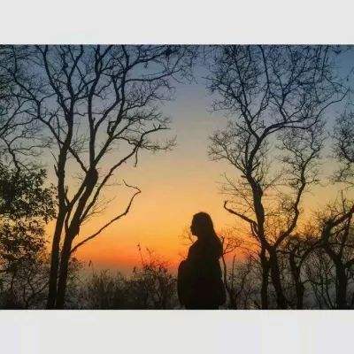 金年会官网手机版下载