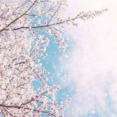 亚博足球外围软件app下载