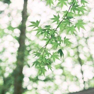 万博max体育(ManBetX)