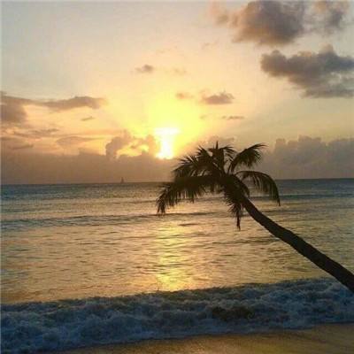 开元棋脾app下载