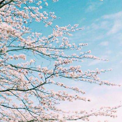 万博全站(ManBetX)app下载