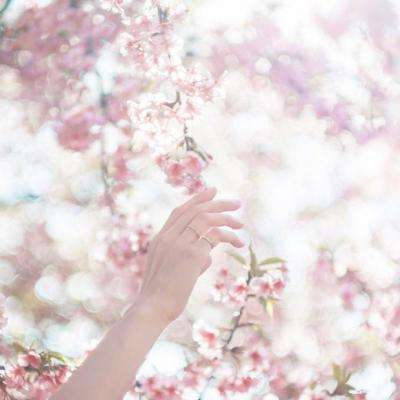 半导体育APP截图